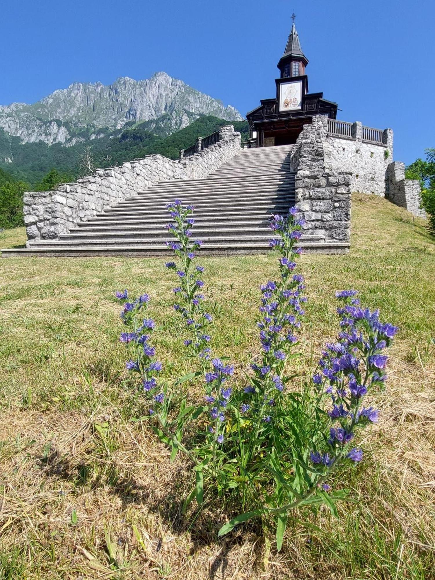 Apartment Kolman Tolmin Exteriér fotografie